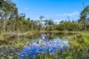 27A Seams Road, Kundabung, NSW 2441-Image