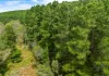 28 Taylor Road, Tunkalilla, SA 5203-Image