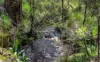 28 Taylor Road, Tunkalilla, SA 5203-Image
