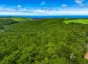28 Taylor Road, Tunkalilla, SA 5203-Image
