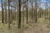 2805 Glen Alice Road, Rylstone, NSW 2849-Image