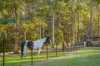 283 Old King Road, King Creek, NSW 2446-Image