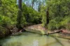 284 Peckhams Road, Ewingar NSW 2469-Image