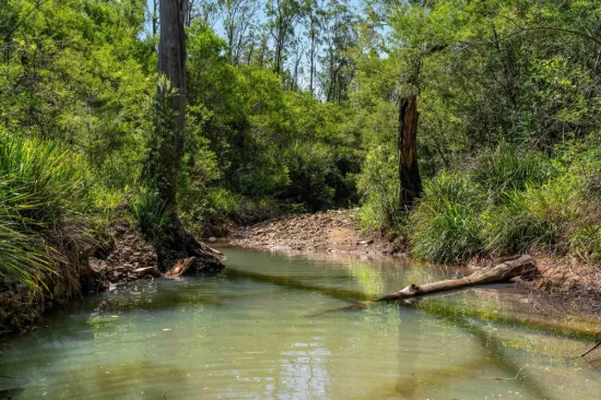 284 Peckhams Road, Ewingar NSW 2469-Image