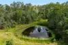 284 Peckhams Road, Ewingar NSW 2469-Image