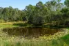 284 Peckhams Road, Ewingar NSW 2469-Image