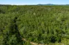 284 Peckhams Road, Ewingar NSW 2469-Image