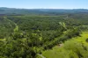 284 Peckhams Road, Ewingar NSW 2469-Image