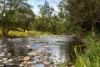 2849 Allyn River Road, Eccleston NSW 2311-Image