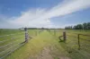 285 Cabbage Tree Road, Williamtown, NSW 2318-Image