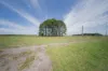 285 Cabbage Tree Road, Williamtown, NSW 2318-Image