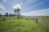 285 Cabbage Tree Road, Williamtown, NSW 2318-Image