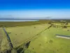285 Cabbage Tree Road, Williamtown, NSW 2318-Image