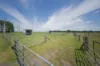 285 Cabbage Tree Road, Williamtown, NSW 2318-Image