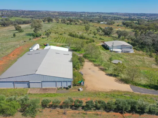 285 Henry Lawson Way, Young, NSW 2594