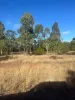 285 O'Hallorans Road, Tara, Qld 4421-Image