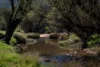 2885 Tarana Road, Tarana, NSW 2787-Image