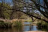2885 Tarana Road, Tarana, NSW 2787-Image