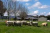 2885 Tarana Road, Tarana, NSW 2787-Image