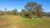 2898 The Bucketts Way, Stroud, NSW 2425-Image