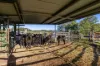 2898 The Bucketts Way, Stroud, NSW 2425-Image