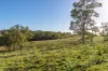 2898 The Bucketts Way, Stroud, NSW 2425-Image