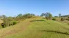 2898 The Bucketts Way, Stroud, NSW 2425-Image