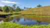 2898 The Bucketts Way, Stroud, NSW 2425-Image