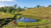 2898 The Bucketts Way, Stroud, NSW 2425-Image