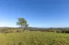 2898 The Bucketts Way, Stroud, NSW 2425-Image