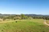 2898 The Bucketts Way, Stroud, NSW 2425-Image