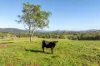 2898 The Bucketts Way, Stroud, NSW 2425-Image