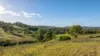 2898 The Bucketts Way, Stroud, NSW 2425-Image