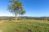 2898 The Bucketts Way, Stroud, NSW 2425-Image