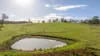 2898 The Bucketts Way, Stroud, NSW 2425-Image