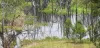 29 East River Pines Drive, Delan, Qld 4671-Image