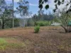 29 East River Pines Drive, Delan, Qld 4671-Image