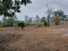 29 East River Pines Drive, Delan, Qld 4671-Image