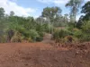 29 East River Pines Drive, Delan, Qld 4671-Image