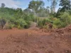 29 East River Pines Drive, Delan, Qld 4671-Image