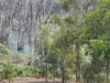 29 East River Pines Drive, Delan, Qld 4671-Image