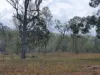 29 East River Pines Drive, Delan, Qld 4671-Image