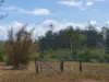 29 East River Pines Drive, Delan, Qld 4671-Image