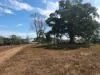 29 East River Pines Drive, Delan, Qld 4671-Image