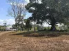 29 East River Pines Drive, Delan, Qld 4671-Image