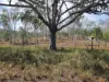 29 East River Pines Drive, Delan, Qld 4671-Image
