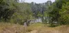 29 East River Pines Drive, Delan, Qld 4671-Image