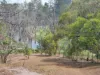 29 East River Pines Drive, Delan, Qld 4671-Image