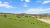 29 Echo Hills Road, Werris Creek, NSW 2341-Image