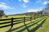 29 Echo Hills Road, Werris Creek, NSW 2341-Image